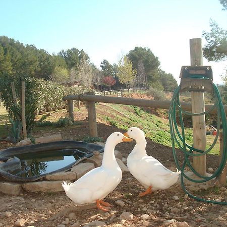 Comarquinal Bioresort Penedes San Quintín de Mediona Kültér fotó