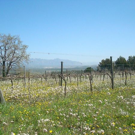 Comarquinal Bioresort Penedes San Quintín de Mediona Kültér fotó