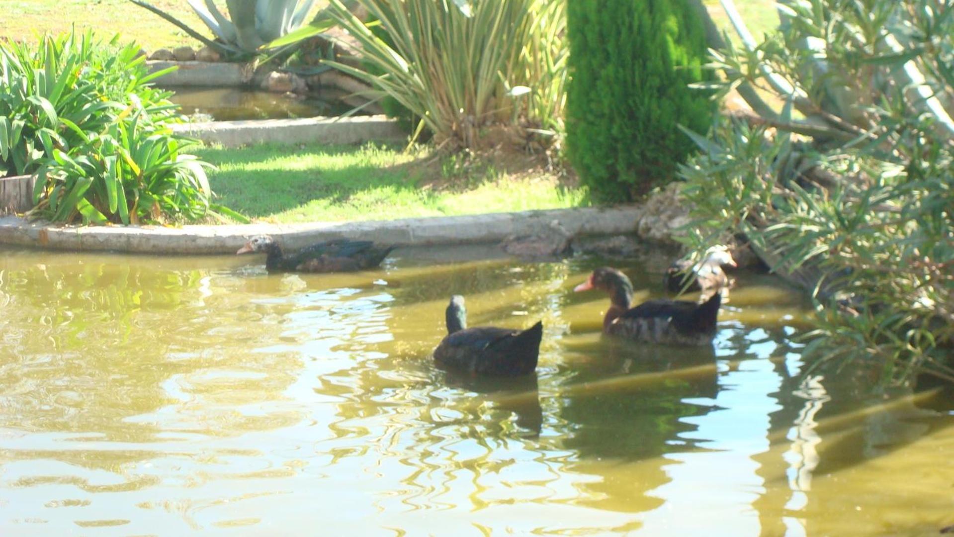 Comarquinal Bioresort Penedes San Quintín de Mediona Kültér fotó