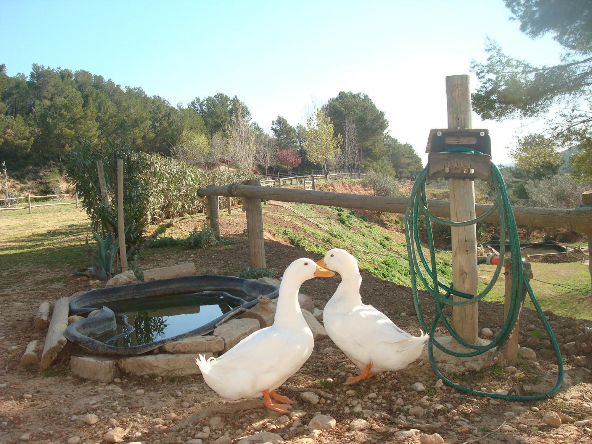 Comarquinal Bioresort Penedes San Quintín de Mediona Kültér fotó