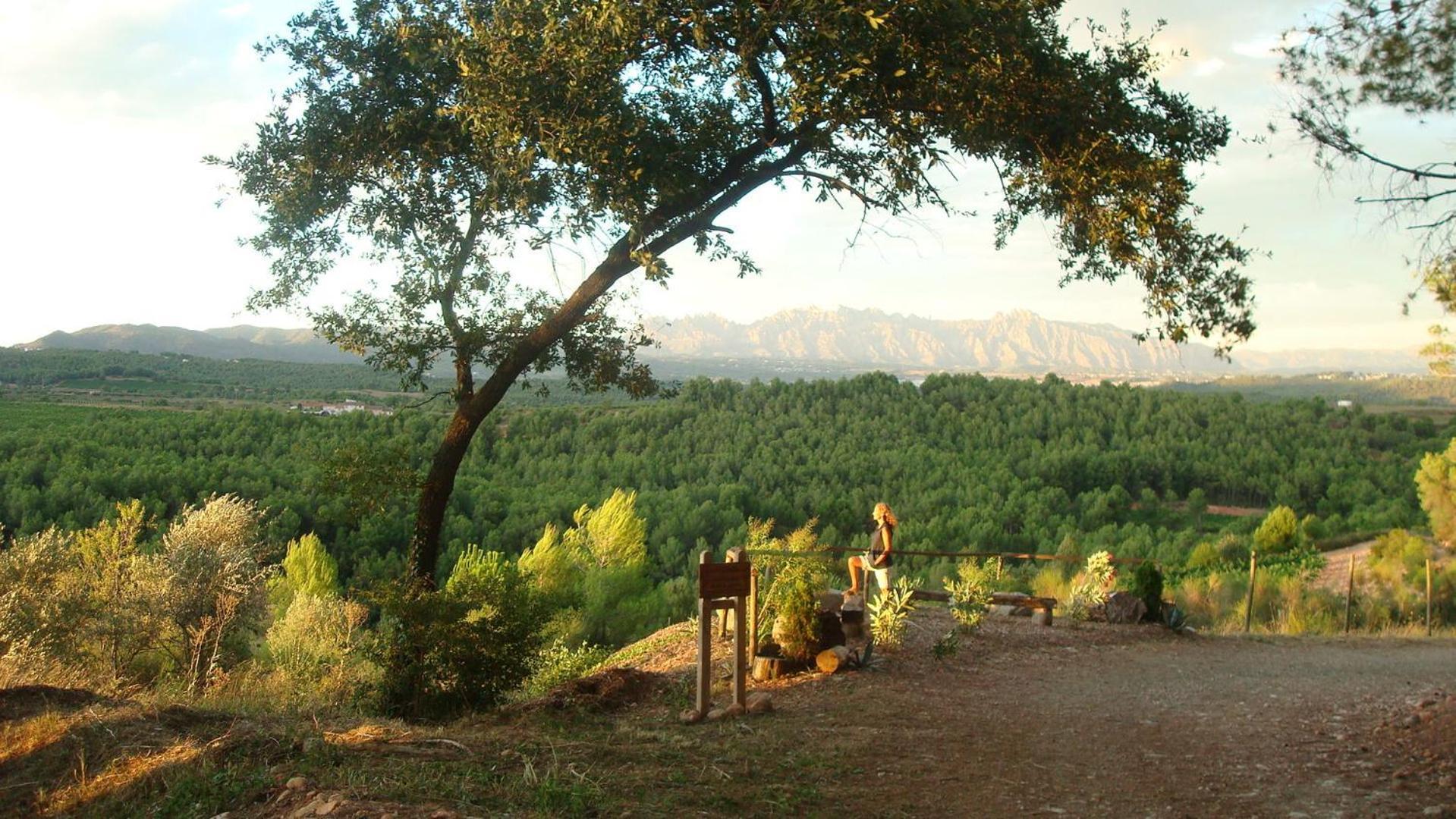 Comarquinal Bioresort Penedes San Quintín de Mediona Kültér fotó